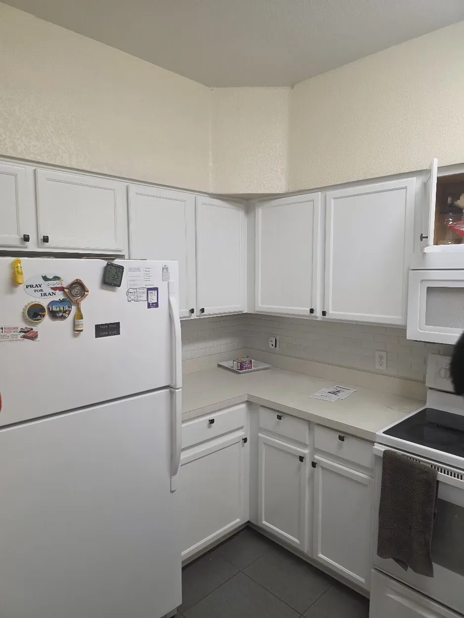 Cabinetry project - cabinetry 02