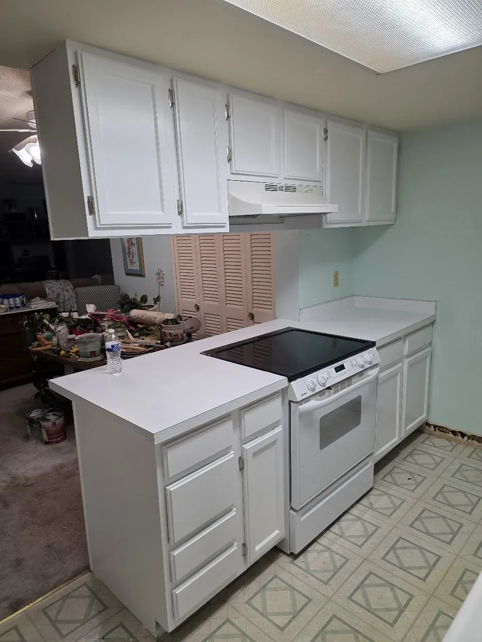Cabinetry project - cabinetry 05